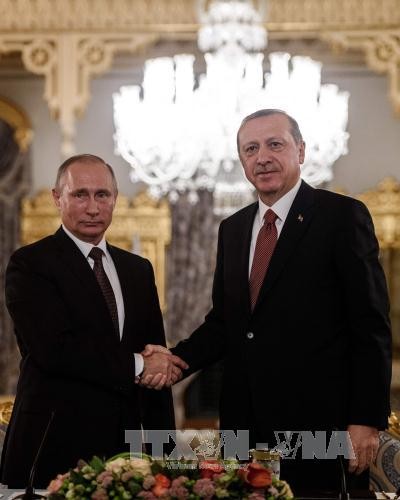 Poutine donne le feu vert au gazoduc russo-turc - ảnh 1